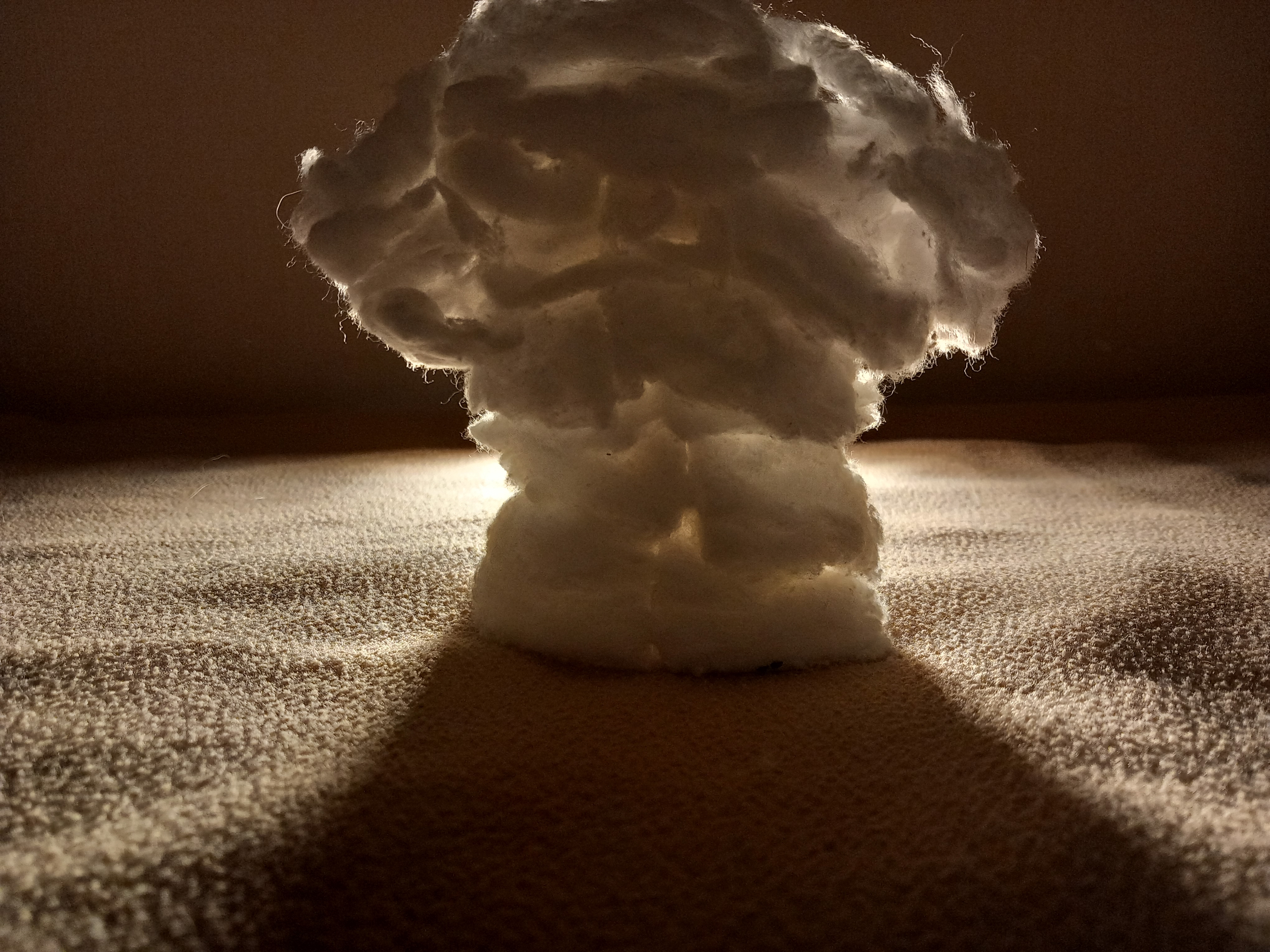 Pièce non négligeable de l'environnement